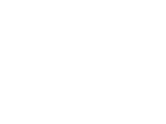 파일:DTC_Wlogo.png