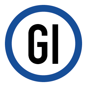 파일:NS-GI.png